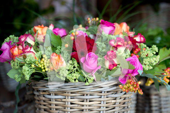 bloemen en planten vvbvanbree     1120